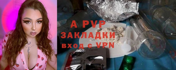 индика Аркадак