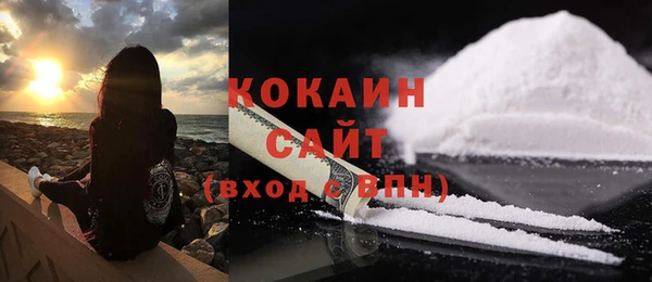 индика Аркадак