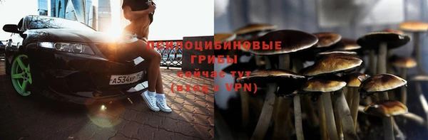 гашик Армянск