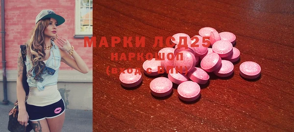 индика Аркадак