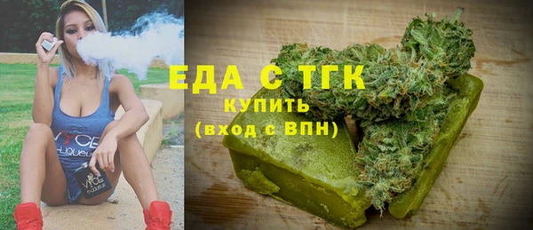 индика Аркадак