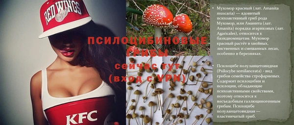 индика Аркадак