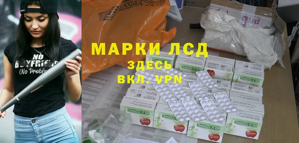 индика Аркадак