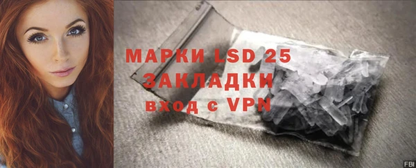 индика Аркадак