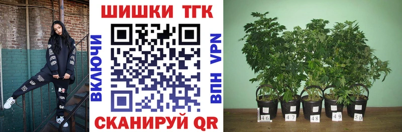 как найти наркотики  Новый Оскол  Конопля SATIVA & INDICA 